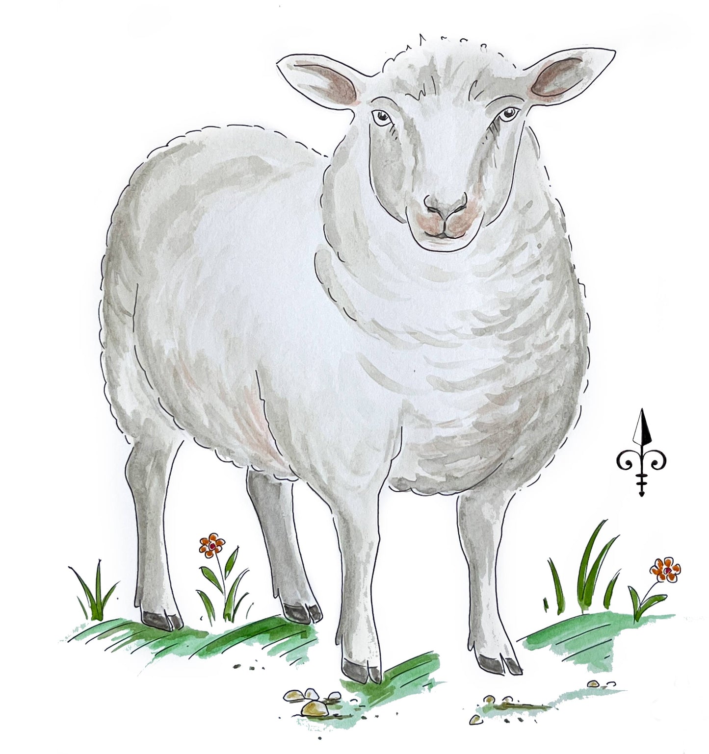 Erste Worte - Schaf