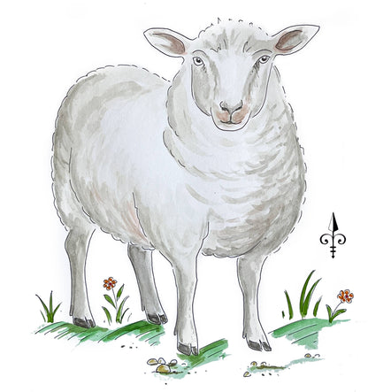 Erste Worte - Schaf